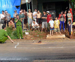 Đoạt mạng tình địch vì hai người cùng yêu nữ sinh