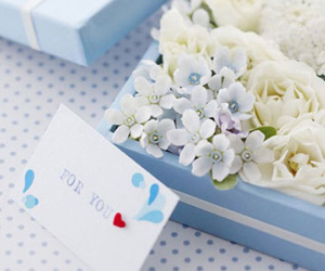 Ảnh bìa bài viết 282856