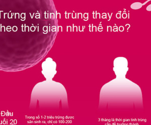 Trứng và tinh trùng thay đổi theo thời gian như thế nào