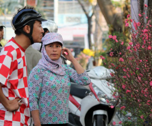 Chộn rộn ngày chủ nhật cuối cùng của năm cũ