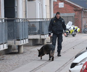 Lại xảy ra xả súng tại tại giáo đường ở thủ đô Copenhagen Đan Mạch