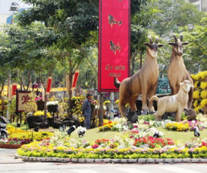Ngắm đường hoa Tết đẹp lung linh trước giờ khai mạc
