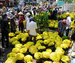 Hàng nghìn người Sài Gòn đổ đi mua hoa giá rẻ chiều 30 Tết