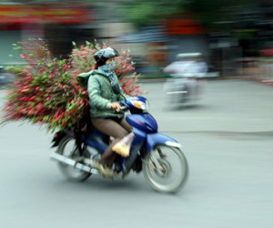 Ảnh bìa bài viết 283967