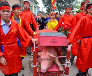 Hôm nay: Chính thức "khai đao" chém lợn ở Bắc Ninh