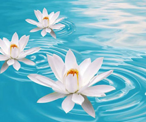 Ảnh bìa bài viết 284546