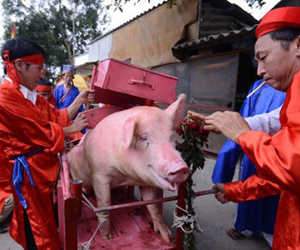 Lãnh đạo Sở Văn hóa Bắc Ninh: "Không thể nói bỏ là bỏ ngay được lễ chém lợn"