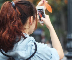 Lộc vừng thay lá "hớp hồn" giới trẻ Hà Thành