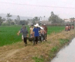 Hải Phòng: Nam thanh niên tự giết mình bằng dao do ngáo đá?