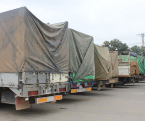 Ảnh bìa bài viết 286180