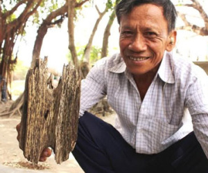 Bạch kỳ nam: 50 tỷ đồng/kg