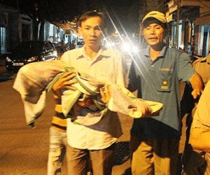 Bé 10 tháng tuổi chết bất thường sau khi bị thương tại điểm giữ trẻ trái phép