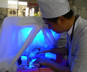 Bé sơ sinh chưa cắt dây rốn bị bỏ rơi trước cổng nhà