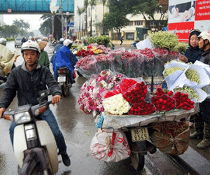 Chợ hoa, quà tặng 8/3 ế từ Hà Nội tới Sài Gòn