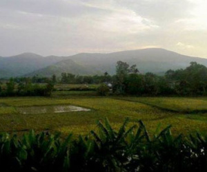 Đi trang điểm cô dâu, bị lừa đưa vào rừng hiếp dâm