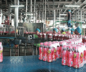 Báo cáo UBND tỉnh Khánh Hòa vụ 6 chai Dr Thanh có dị vật