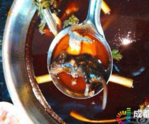 Chuột chết lẫn trong nồi nước lẩu