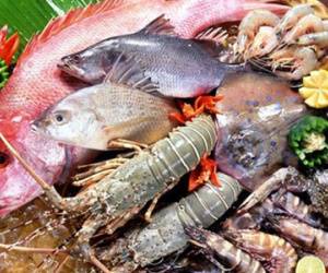 Xử trí thế nào khi bị dị ứng thức ăn?