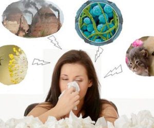 Viêm mũi dị ứng: Bệnh gây nhiều phiên toái
