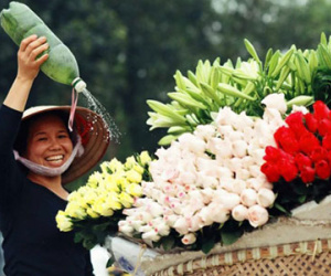 Đầu tuần Bắc Bộ ngớt mưa, trưa chiều hửng nắng