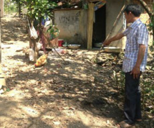 Đắk Nông: Anh hoang tưởng sát hại em trai