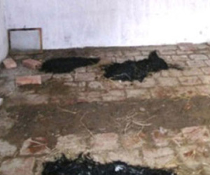 Đập búa vào đầu vợ rồi chôn xác giữa nhà
