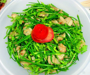 Giải quyết loãng xương theo đông y
