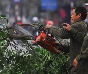 Chủ tịch Hà Nội phản hồi thư ngỏ của nhà báo Trần Đăng Tuấn