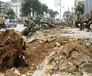 "Con đường đẹp nhất Việt Nam" tan hoang sau khi chặt cây xanh