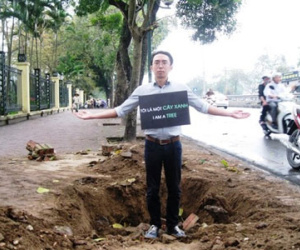 Dầm mưa kêu gọi dừng chặt cây xanh hàng loạt tại Hà Nội