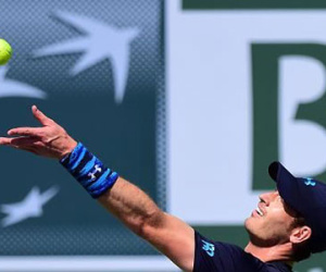 Murray hủy diệt, Djokovic bất chiến tự nhiên thành