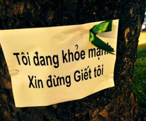 "Tôi đang khỏe mạnh xin đừng giết tôi"