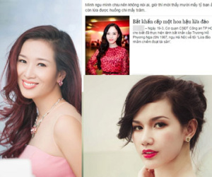Trương Hồ Phương Nga bị bắt, người trong giới nói gì?