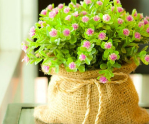 Chủ nhật của bạn (22/03)