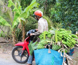 Ảnh bìa bài viết 288938