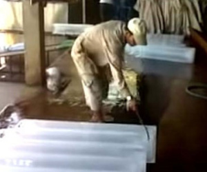 Ảnh bìa bài viết 288950