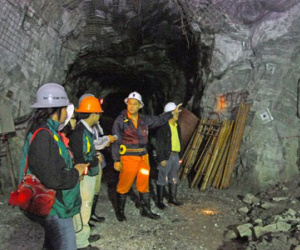 Chịu thua 2 công ty vàng nợ thuế 354 tỉ đồng?