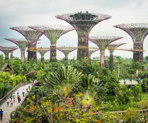 Tầm nhìn phủ xanh Singapore của ông Lý Quang Diệu