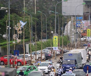 Hà Nội trồng cây trong sách đỏ trên phố