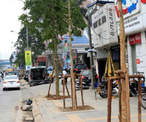 “Tôi lấy đầu mình để khẳng định đó không phải cây vàng tâm”