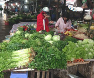 Giật mình mớ rau muống đắt ngang 3 lạng thịt