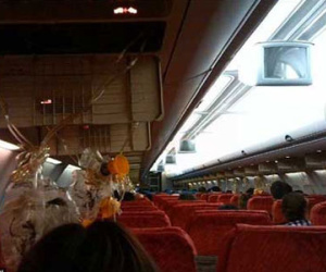 Máy bay Thái hỏng động cơ giữa trời, khách trào máu tai