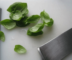 Mẹo giúp vết muỗi đốt hết ngứa