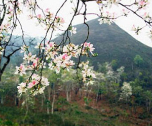 Tiết Thanh minh 2015 là ngày nào?