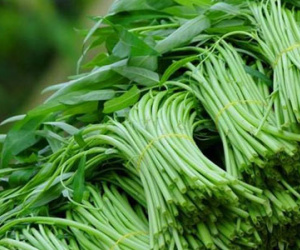 Cách phát hiện rau xanh ngậm thuốc "kích phọt"
