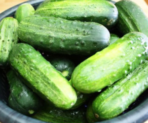 Giật mình độc tố trong dưa chuột