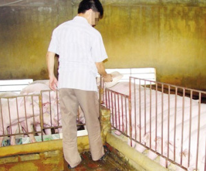 Ảnh bìa bài viết 291557