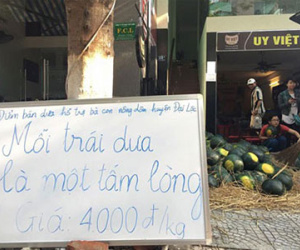 "Mỗi trái dưa là một tấm lòng" - Dân mạng chở dưa hấu đi bán khắp nơi giúp nông dân Quảng Nam