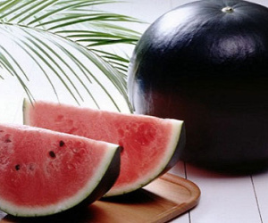 Phát sốt lùng mua hạt giống dưa hấu đen nghìn đô