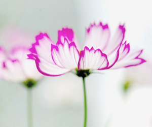 Thứ ba của bạn (7/4)